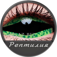 Склеры Рептилия Склеры Рептилия