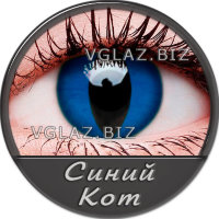Синий Кот Синий Кот