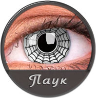 Линзы Паук Линзы Паук