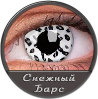 Снежный Барс Снежный Барс