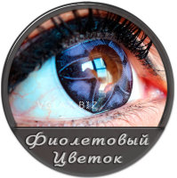 Фиолетов Цветок Фиолетов Цветок